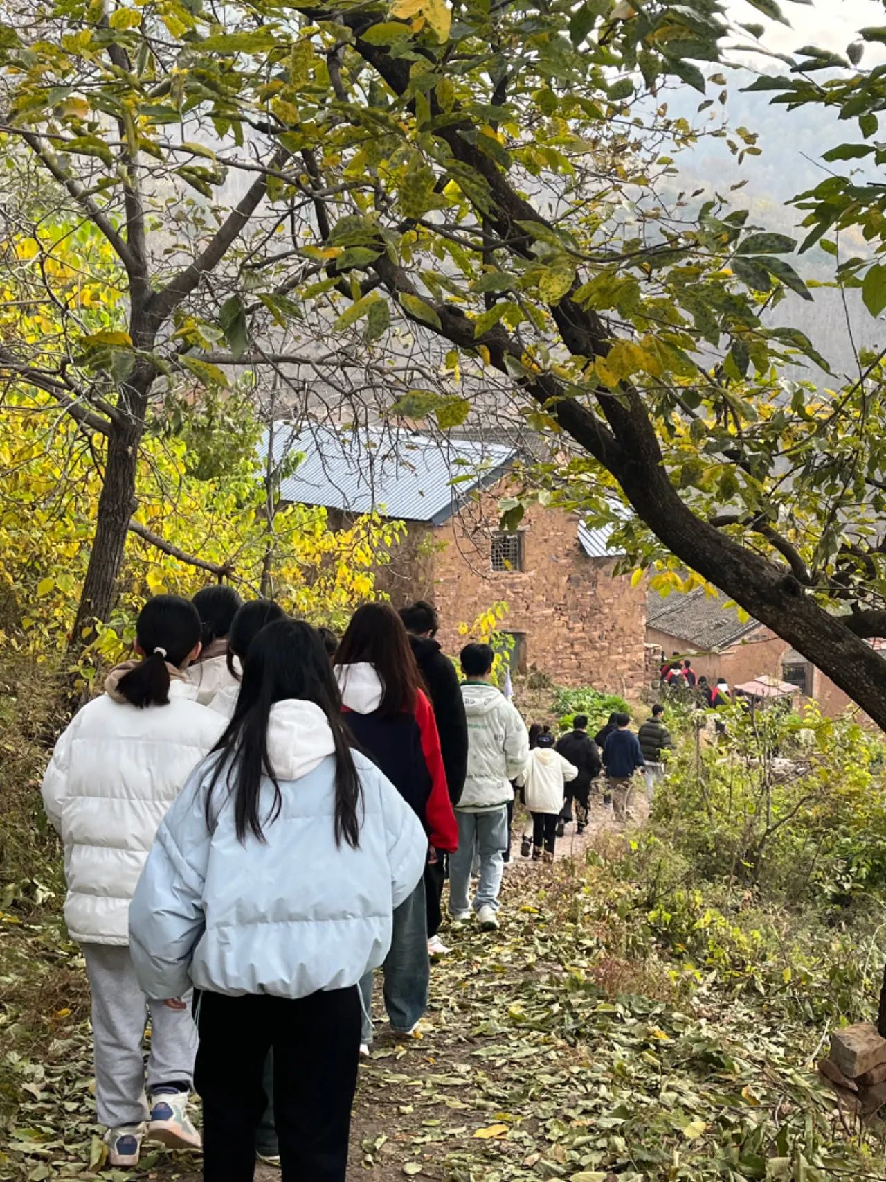 微信图片_20231116192633.jpg 微信图片_20231116192633.jpg